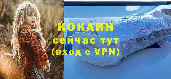 гашик Арсеньев