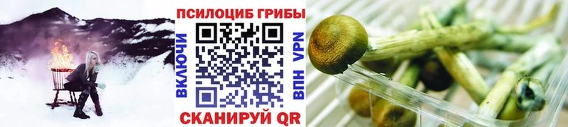 купить наркотик  blacksprut маркетплейс  Галлюциногенные грибы Psilocybe  Артёмовск 